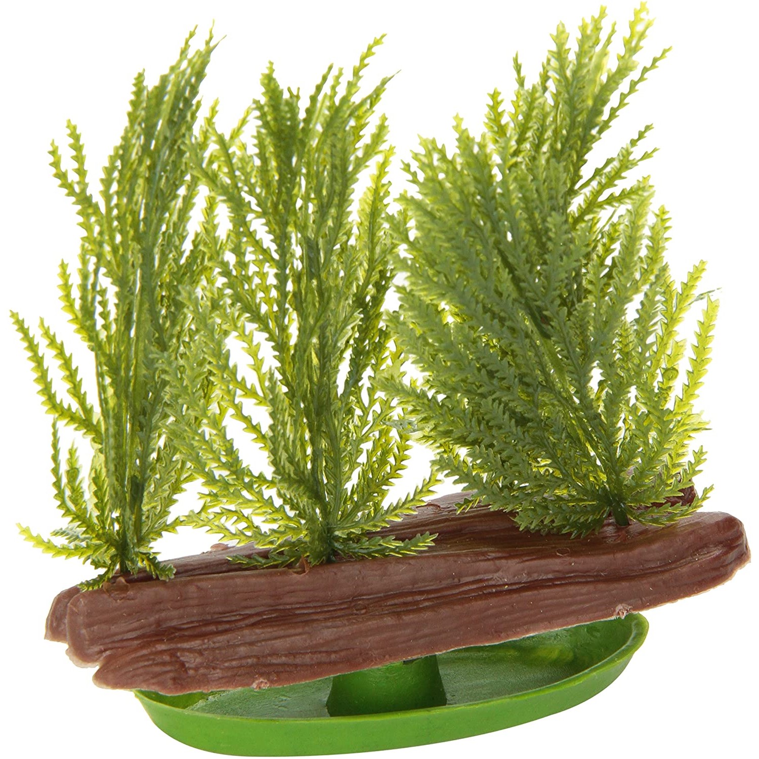 Plastplante-Java-mose-5.jpg Plastplante Java mose